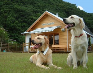 Dog Garden　びわの木